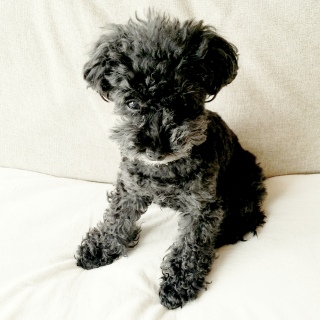 �����(^o^)/