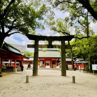 Zg_⛩