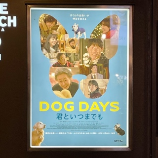 Dog Days🎥