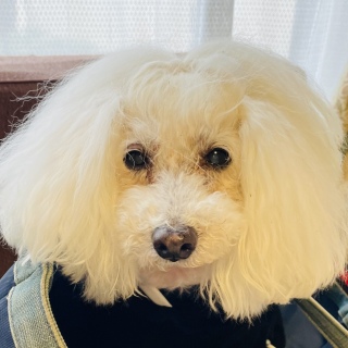 ܂Ă💕︎