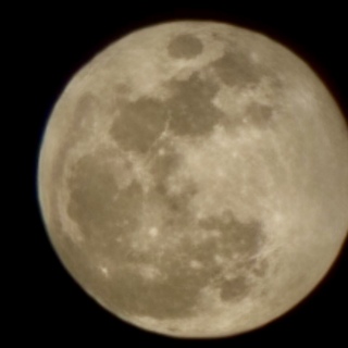 🌕