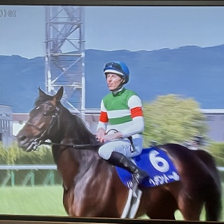 wfg[🏇