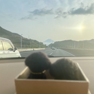 🚗³₃