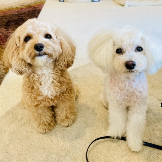 🥰