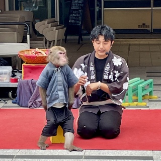 イƑ🐒