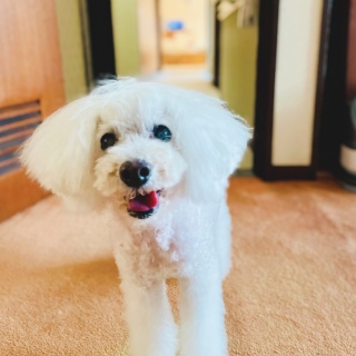 😊