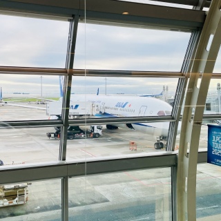 ✈️