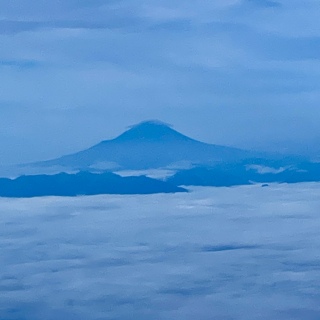 xmR🗻