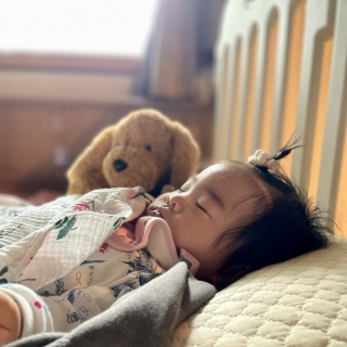 💤