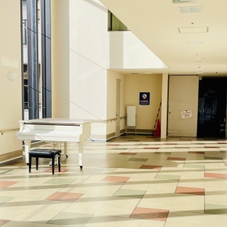 �N�������A