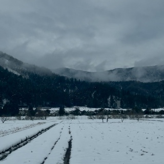 �h���C�u🚗💨