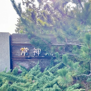 ��_��������