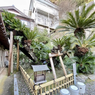 ��_�̃\�e�c