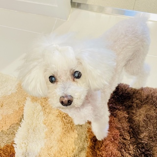 �������[��😍