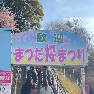 �܂����Ղ�