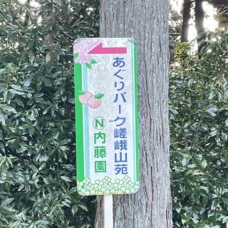 ������p�[�N����R��