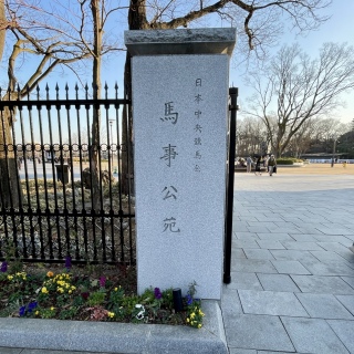 �n������🐴