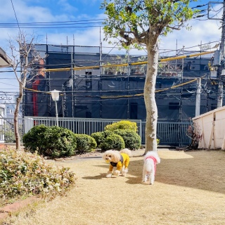 �������񁕃I�X�J�[😊