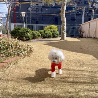 ��������🩷