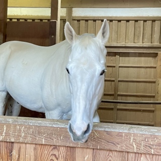 ��重�🐴😆