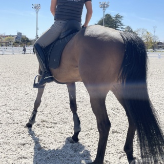 ���n����🐴🐴🐴💕