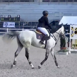 🐴���ۂ���