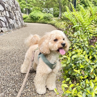 ���U��🐾‪