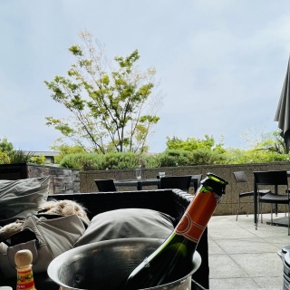 �����`🍽