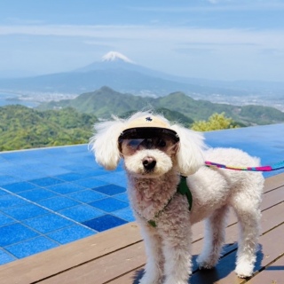 ��������😍