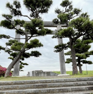 �ɐ�����̒���