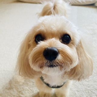 🥰