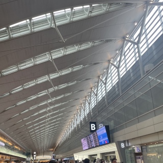 ��✈️