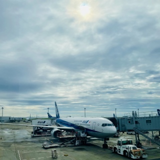 ✈️